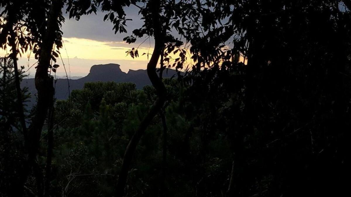 Chale Dos Tucanos- Parede De Vidro Com Linda Vista Campos do Jordão Kültér fotó