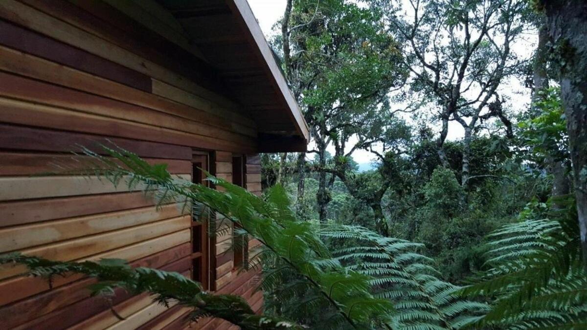 Chale Dos Tucanos- Parede De Vidro Com Linda Vista Campos do Jordão Kültér fotó